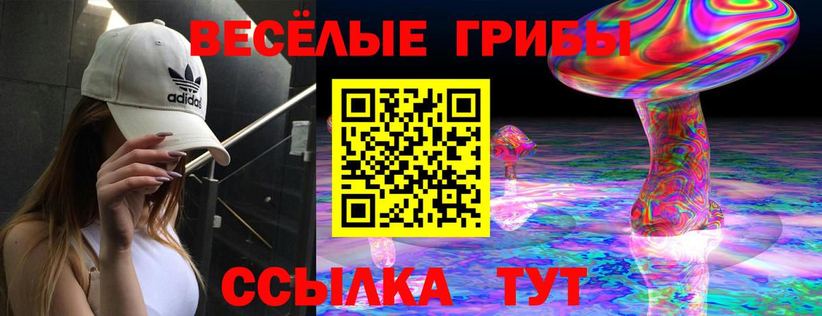 Галлюциногенные грибы прущие грибы  Галлюциногенные грибы Cubensis  Вход с VPN  Хасавюрт 