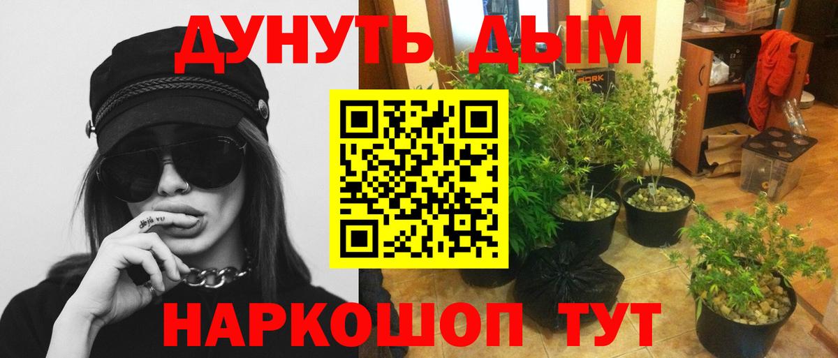 Бошки марихуана Amnesia  Конопля MAZAR  Хасавюрт  Бошки марихуана индика  Вход с VPN 